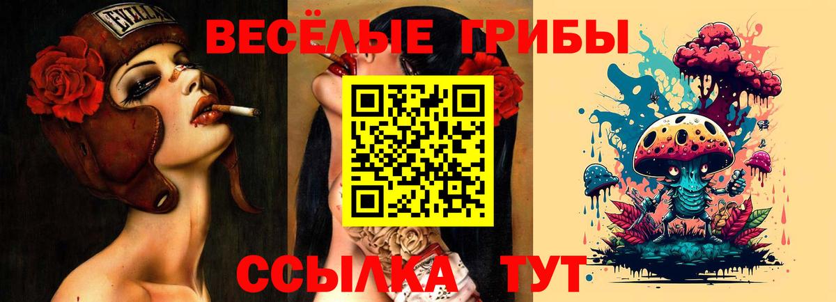 Симферополь  Галлюциногенные грибы ЛСД  Вход с VPN  Галлюциногенные грибы мицелий 